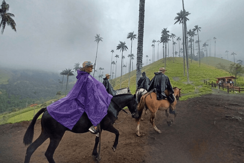 Cabalgatas